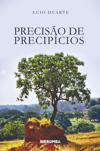 Precisão de Precipícios